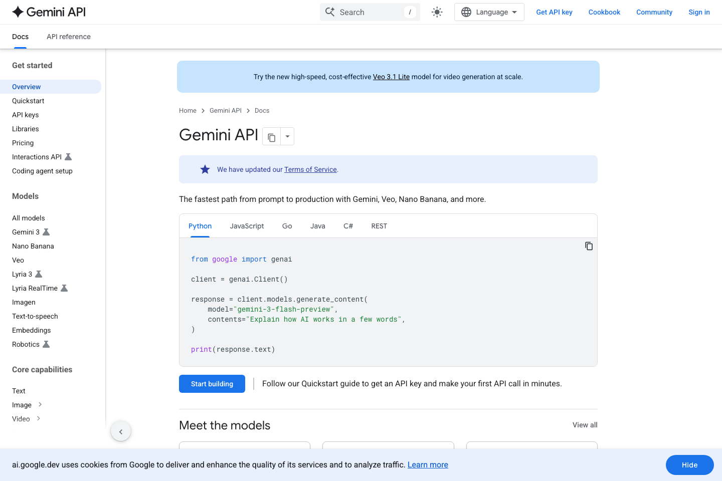 Google Gemini API documentation page