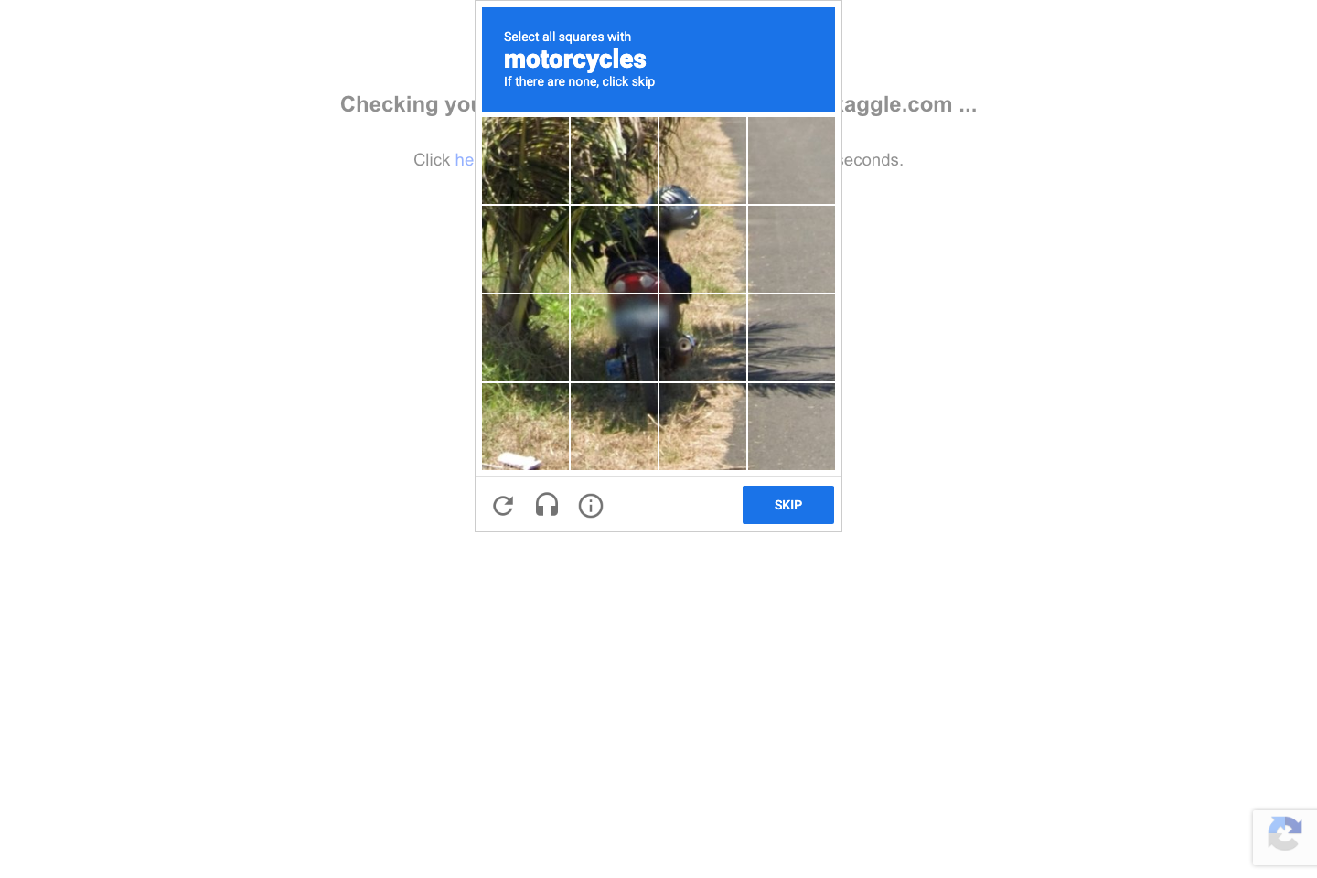 Kaggle documentation page