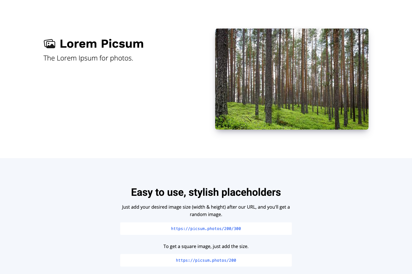 Lorem Picsum documentation page