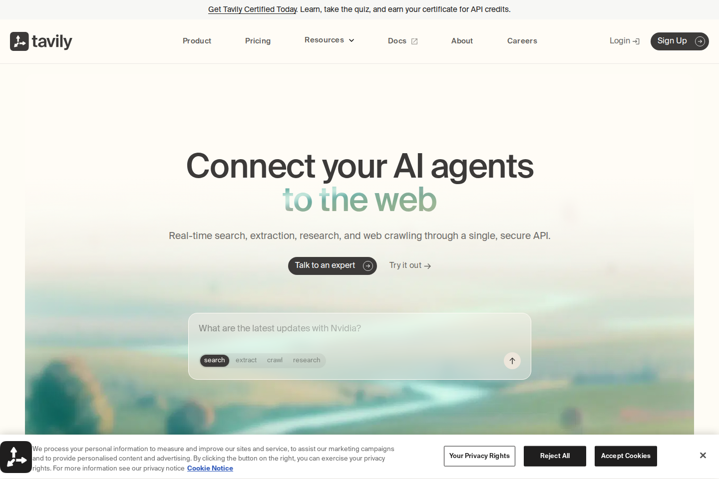 Tavily API documentation page