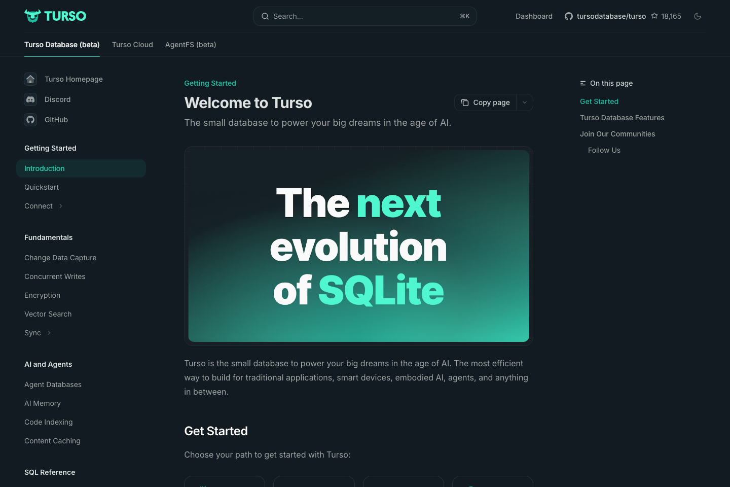 Turso documentation page