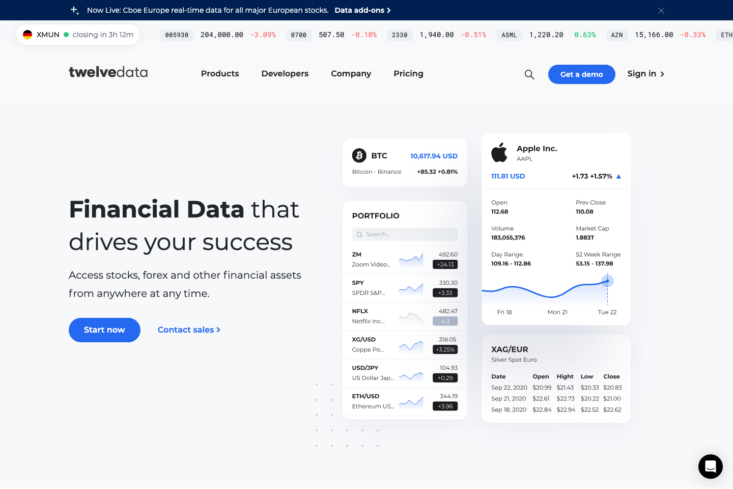 Twelve Data documentation page